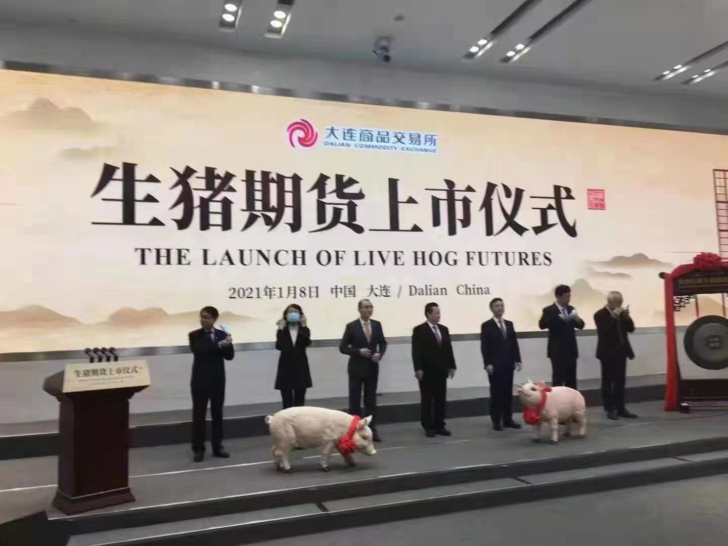 最新生猪期货价格行情查询