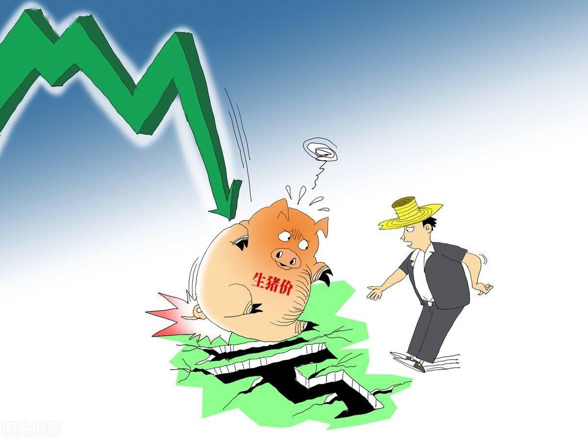 生猪期货迎久违大涨 猪肉概念股走强(图1)