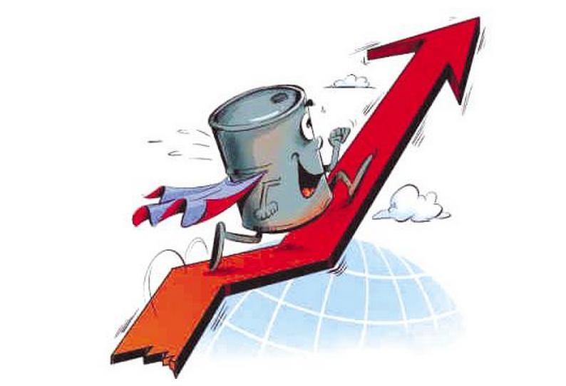 PTA、螺纹钢、铁矿石、原油期货主力合约上午均获超5亿元资金流入