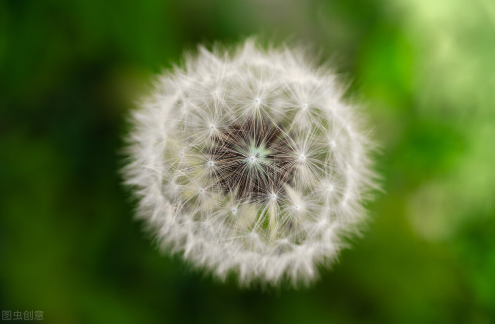 期货交易:知者不言,言者不知!(图1) 期货交易:知者不言,言者不知!(图1)