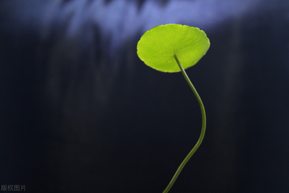 期货交易:知者不言,言者不知!(图2) 期货交易:知者不言,言者不知!(图2)