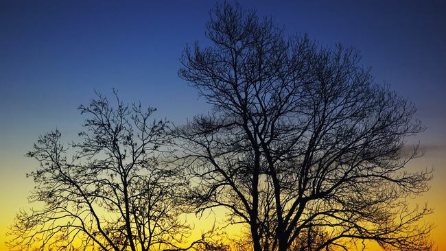 50etf期权在哪个平台可以无风险开户？(图1)