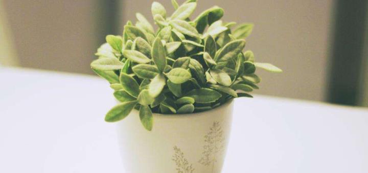 只想期货盈利,不愿承担亏损? (图2) 只想期货盈利,不愿承担亏损? (图2)