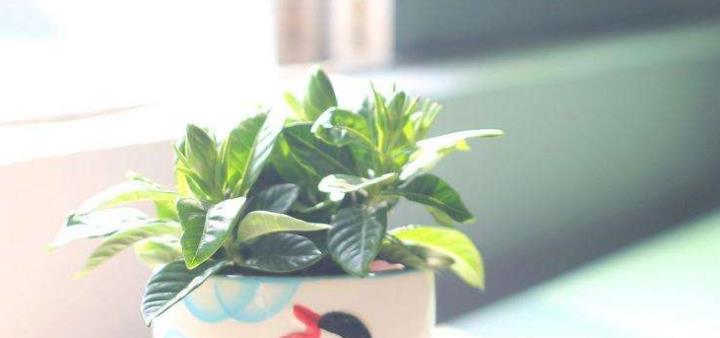 只想期货盈利,不愿承担亏损? (图4) 只想期货盈利,不愿承担亏损? (图4)