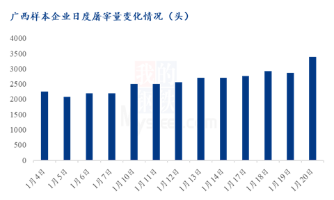 出栏计划完成欠佳,广西猪价年前或难涨(图1) 出栏计划完成欠佳,广西猪价年前或难涨(图1)