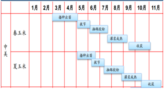 我国玉米基本概况及期现市场分析(图2)