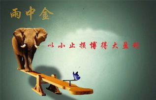 购买期货怎么操作-如何做期货操作