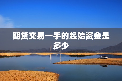 期货交易一手的起始资金是多少？(图1)