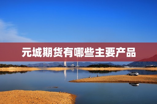 元城期货有哪些主要产品？9715(图1)