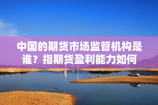 中国的期货市场监管机构是谁？指期货盈利能力如何？(图1)