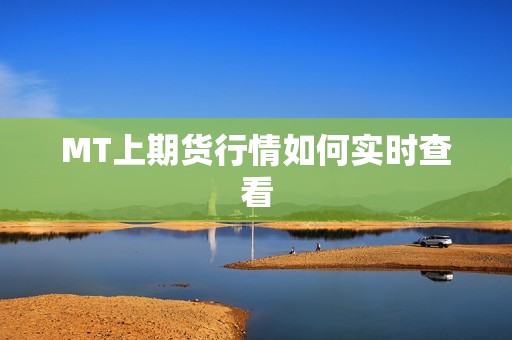 MT上期货行情如何实时查看? 行情 MT上期货行情如何实时查看?(图1)