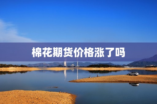 棉花期货价格涨了吗? 行情 棉花期货价格涨了吗?(图1)