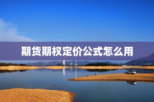 期货期权定价公式怎么用? 行情 期货期权定价公式怎么用?(图1)