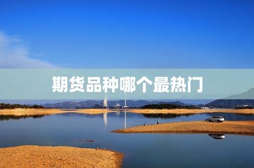 期货品种哪个最热门? 行情 期货品种哪个最热门?(图1)