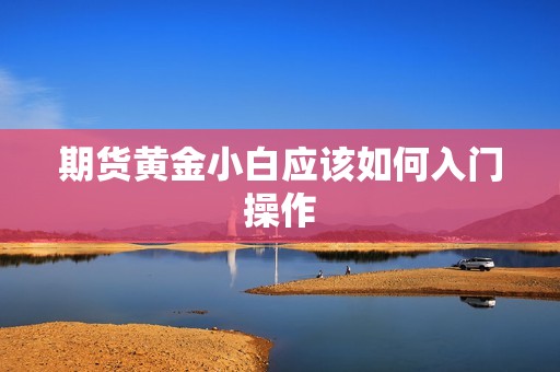 期货黄金小白应该如何入门操作? 行情 期货黄金小白应该如何入门操作?(图1)