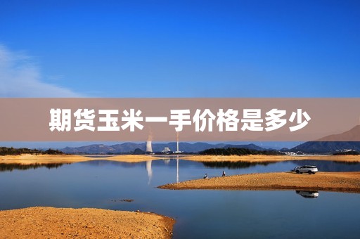 期货玉米一手价格是多少? 行情 期货玉米一手价格是多少?(图1)