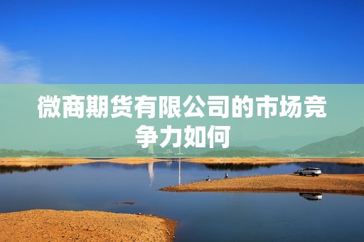 微商期货有限公司的市场竞争力如何？(图1)