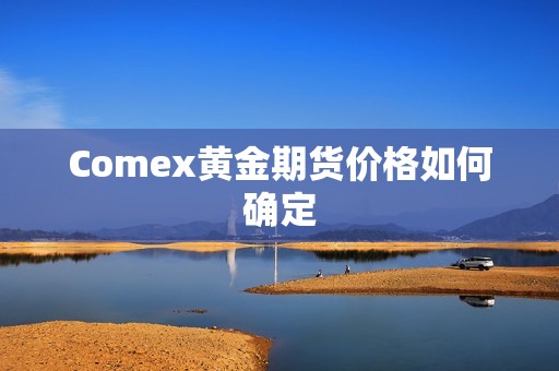 Comex黄金期货价格如何确定(图1)