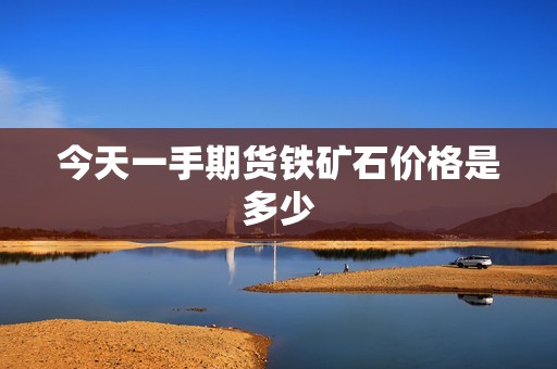 今天一手期货铁矿石价格是多少 行情 今天一手期货铁矿石价格是多少(图1)