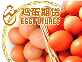 鸡蛋期货怎么开户?鸡蛋期货开户怎么办理(图1) 鸡蛋期货怎么开户?鸡蛋期货开户怎么办理(图1)