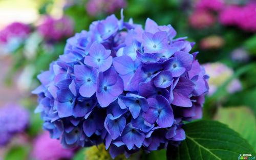 我投资中最大的错误是什么?(图1) 我投资中最大的错误是什么?(图1)