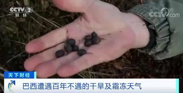 原料期货价格大涨超45%:有人提前一年“囤货”这种饮料会涨价吗?(图5) 原料期货价格大涨超45%:有人提前一年“囤货”这种饮料会涨价吗?(图5)