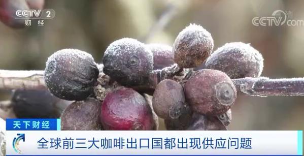 原料期货价格大涨超45%:有人提前一年“囤货”这种饮料会涨价吗?(图2) 原料期货价格大涨超45%:有人提前一年“囤货”这种饮料会涨价吗?(图2)