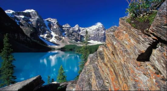 期货交易最终目的是什么?(图1) 期货交易最终目的是什么?(图1)