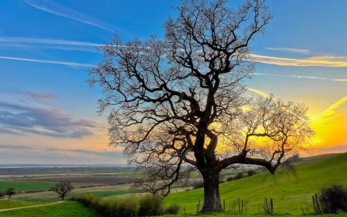 今日国际期货行情-期货行情。(图4) 今日国际期货行情-期货行情。(图4)