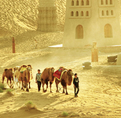 今日国际期货行情-期货行情。(图5) 今日国际期货行情-期货行情。(图5)