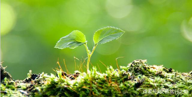 如何高效进行期货复盘？(图2)