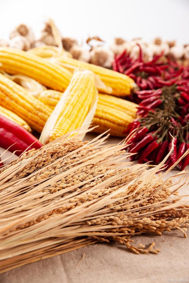 天胶为什么是期货的第一霸主(图3)