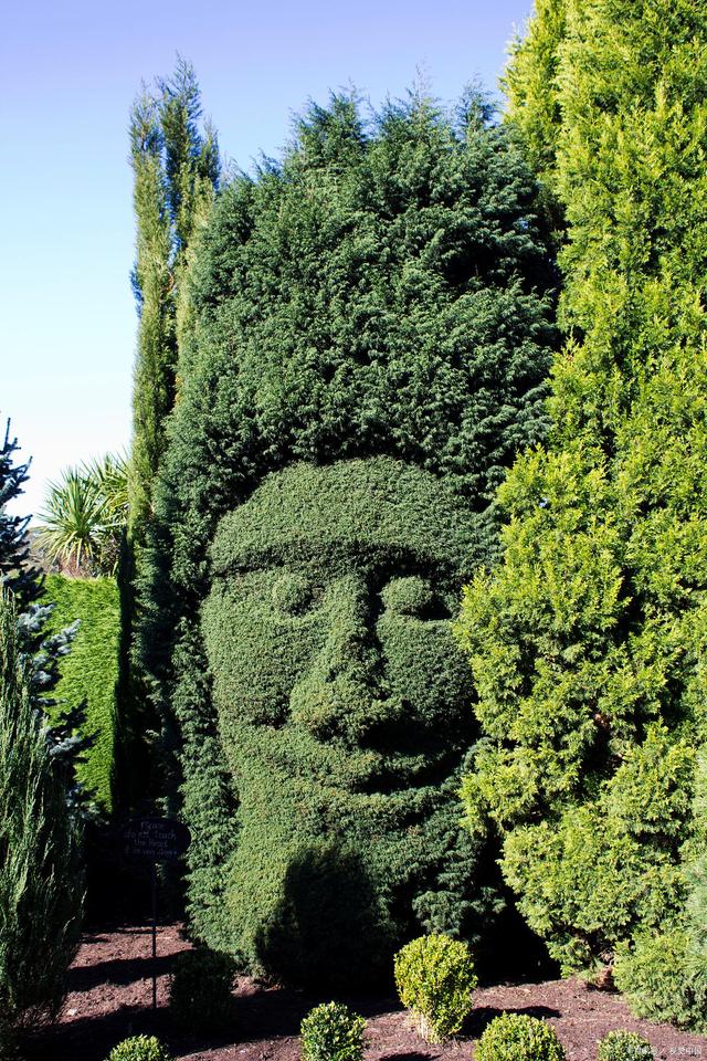 天胶为什么是期货的第一霸主(图2)