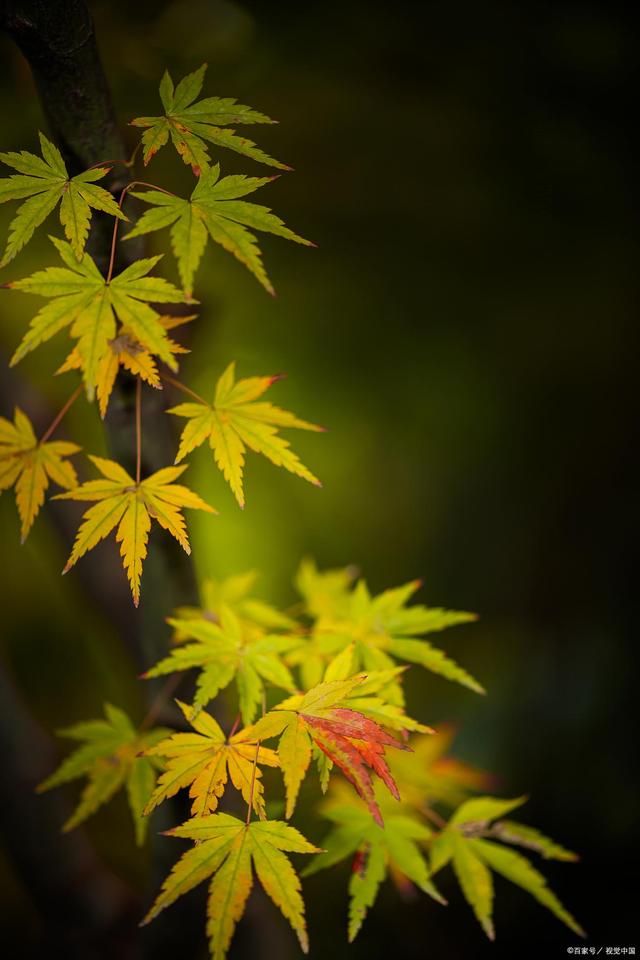期货是一个浓缩的人生:始终如一,永不放弃(图1) 期货是一个浓缩的人生:始终如一,永不放弃(图1)