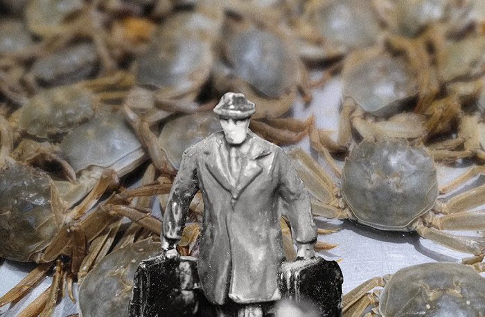 空手赚得上百万:“蟹老板”的期货生意(图2) 空手赚得上百万:“蟹老板”的期货生意(图2)