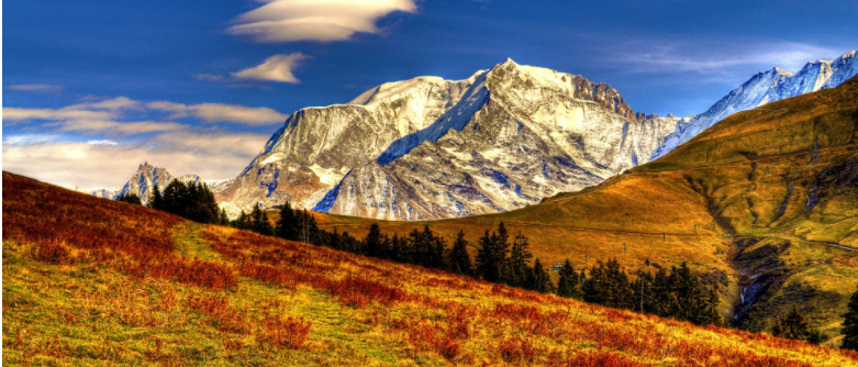 期货第一亏(煤炭期货号)(图2) 期货第一亏(煤炭期货号)(图2)