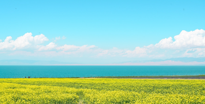 期货多空线(图3) 期货多空线(图3)