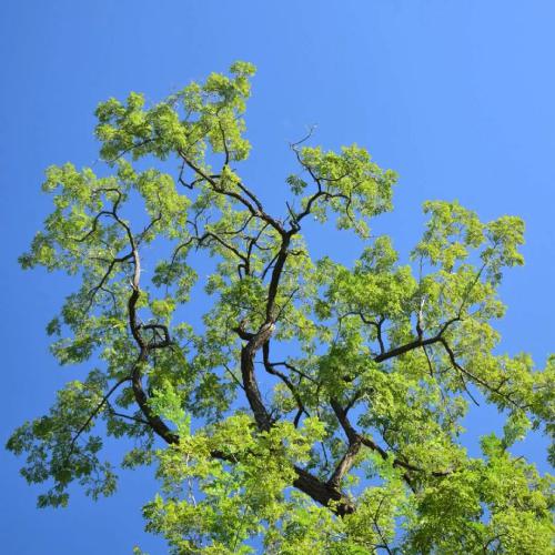 《证券投资基金基础知识》新手炒股入门开户(什么是炒股)(图8) 《证券投资基金基础知识》新手炒股入门开户(什么是炒股)(图8)