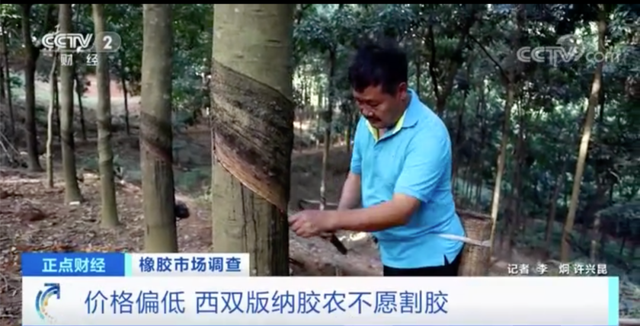 动力煤日内涨超10%!这种原料,价格每吨涨超2000元,农民却纷纷放弃它?(图1) 动力煤日内涨超10%!这种原料,价格每吨涨超2000元,农民却纷纷放弃它?(图1)