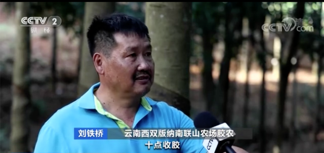 动力煤日内涨超10%!这种原料,价格每吨涨超2000元,农民却纷纷放弃它?(图2) 动力煤日内涨超10%!这种原料,价格每吨涨超2000元,农民却纷纷放弃它?(图2)