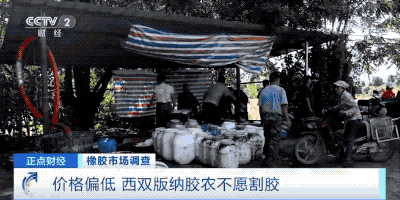 动力煤日内涨超10%!这种原料,价格每吨涨超2000元,农民却纷纷放弃它?(图3) 动力煤日内涨超10%!这种原料,价格每吨涨超2000元,农民却纷纷放弃它?(图3)