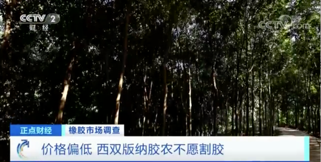 动力煤日内涨超10%!这种原料,价格每吨涨超2000元,农民却纷纷放弃它?(图4) 动力煤日内涨超10%!这种原料,价格每吨涨超2000元,农民却纷纷放弃它?(图4)