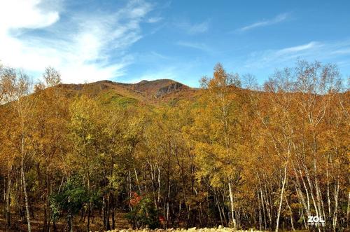 伦敦原油期货实时行情 纽约原油cfd期货行情！(图7)