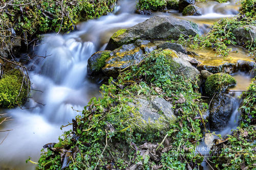 原油投资平台有哪些？(图1)