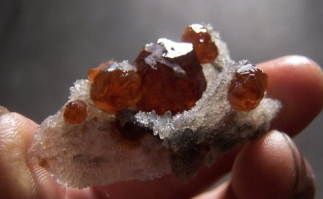 热卷震荡上行 铁矿石期现货价格止跌走高