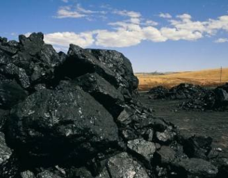 焦炭焦煤期货持稳运行 动力煤期货向好运行(图1)