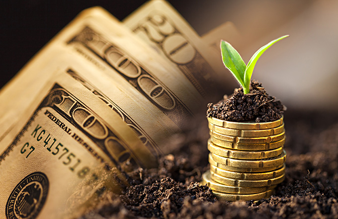 切记勿轻信股评专家的荐股,真实案例(图1)