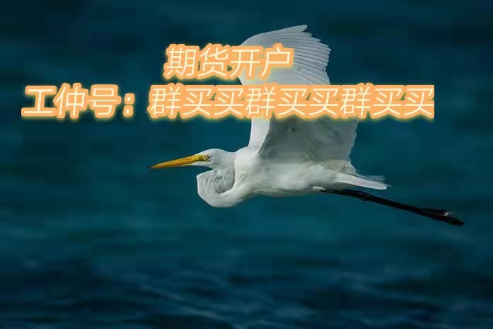 恒指期货在国内怎样办理开户-恒指期货开户的条件。 (图1) 恒指期货在国内怎样办理开户-恒指期货开户的条件。 (图1)