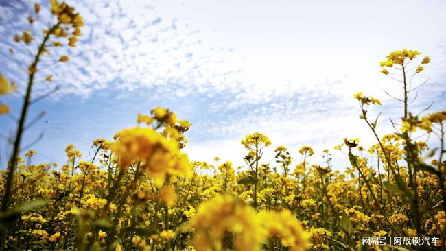 50ETF期权需要什么条件,有什么技巧才可以买(图2) 50ETF期权需要什么条件,有什么技巧才可以买(图2)