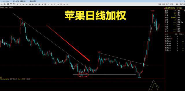 期货交易做得好,远离苹果和红枣(图7) 期货交易做得好,远离苹果和红枣(图7)